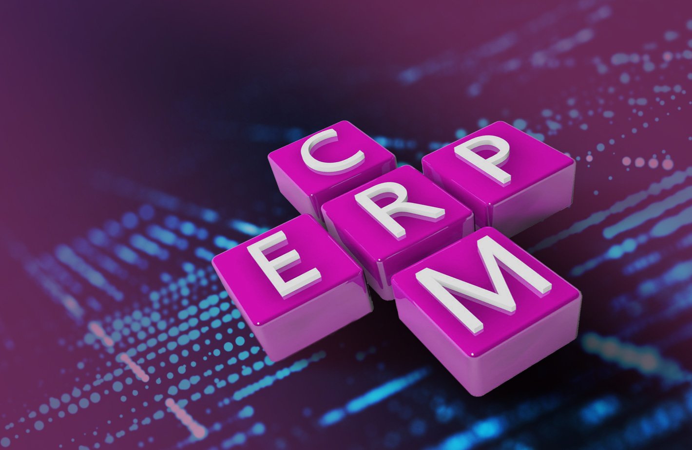 Convergence of ERP and CRM
